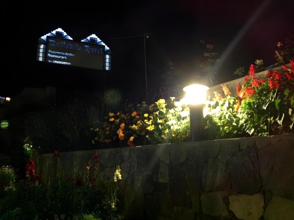 Daffodil'S Hotel Nuwara Eliya Extérieur photo