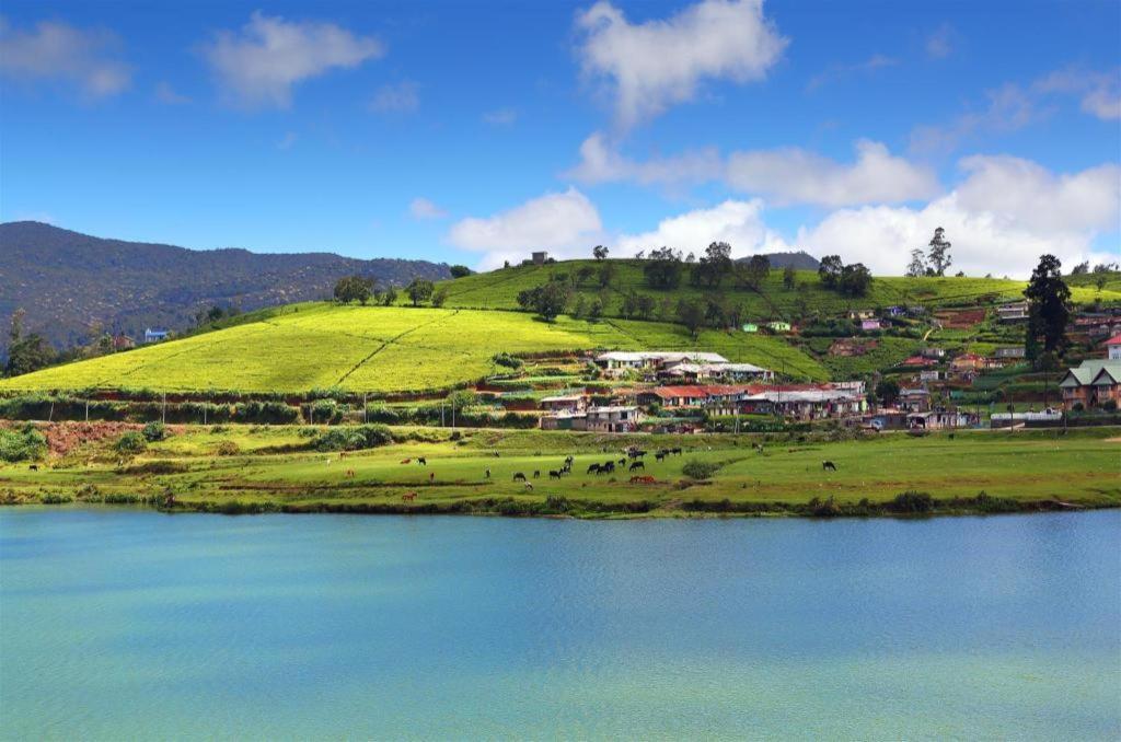 Daffodil'S Hotel Nuwara Eliya Extérieur photo