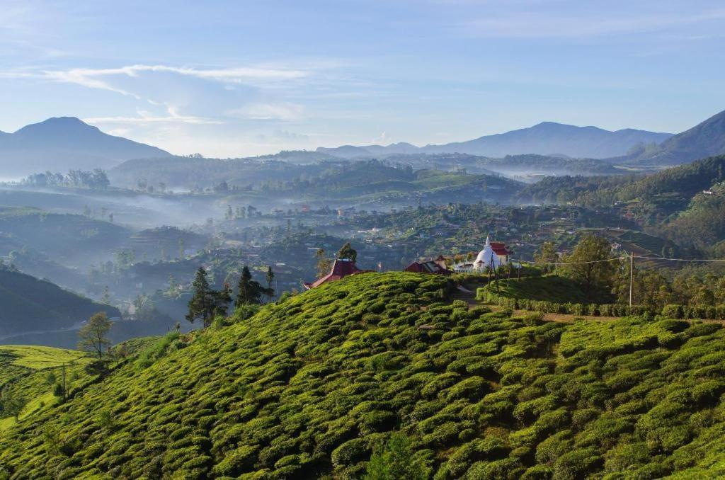 Daffodil'S Hotel Nuwara Eliya Extérieur photo